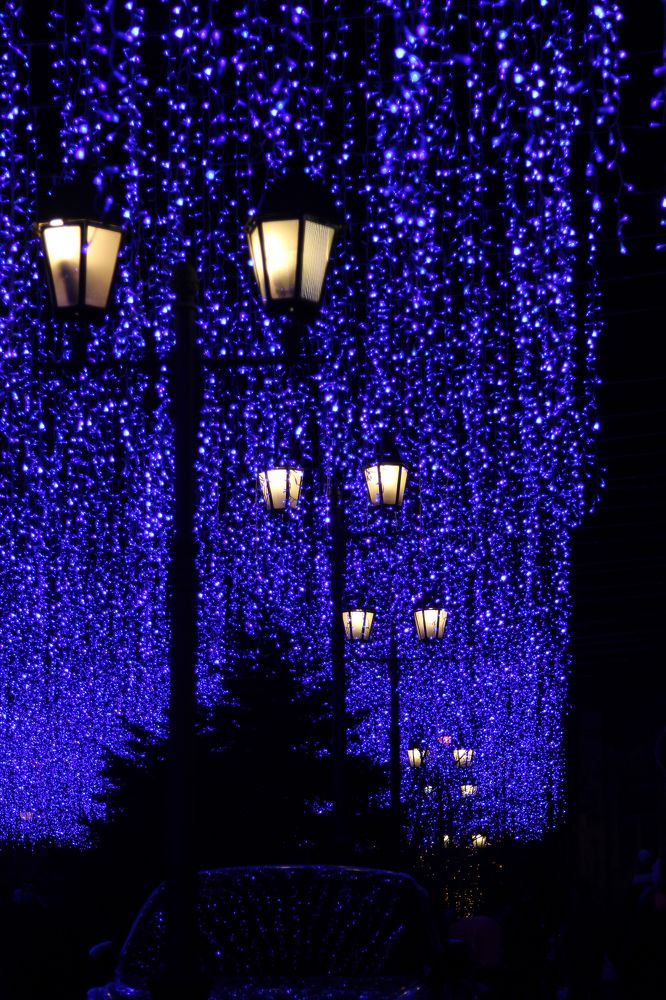 Photograph by Мария Маркина