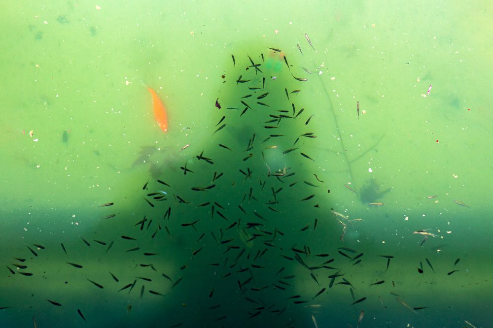 Photograph by Golestani Mojtaba