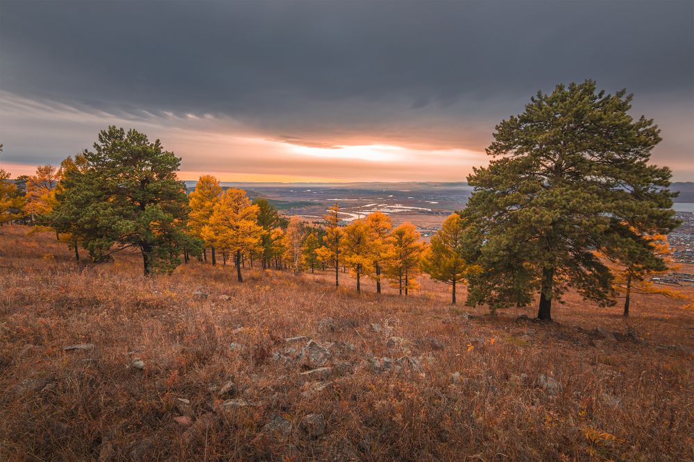 Photograph by Портных Дмитрий