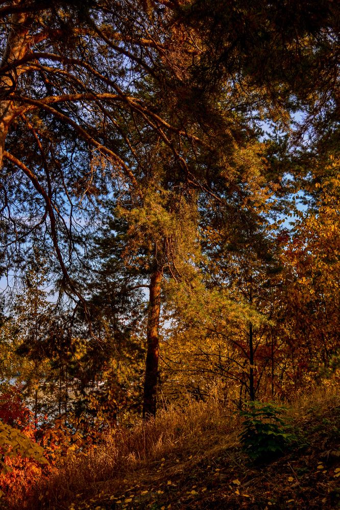Photograph by Екатерина Рузавина