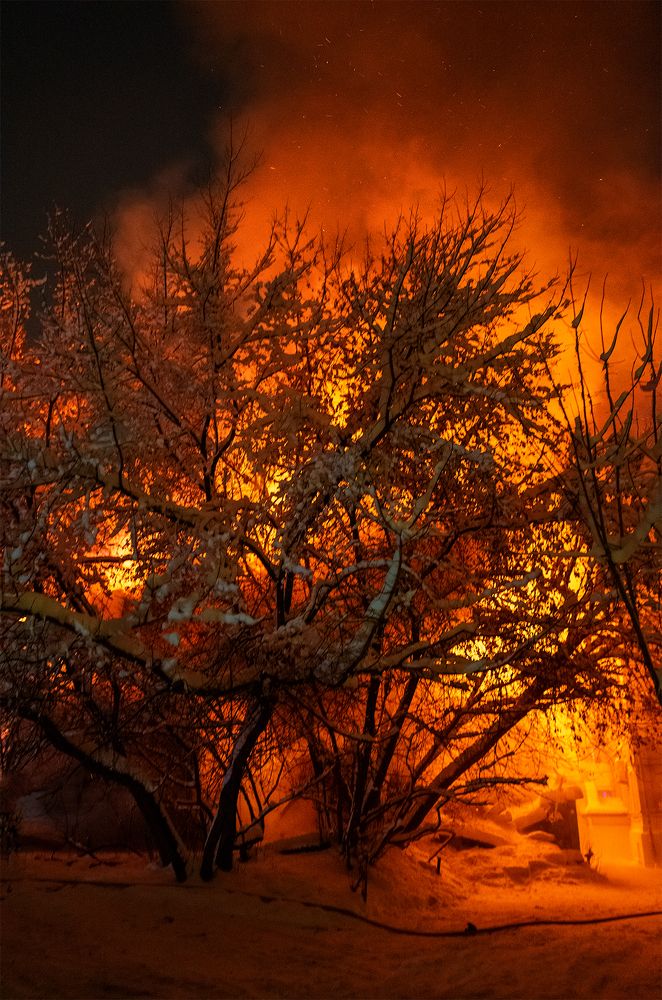 Photograph by Николай Рахматулин