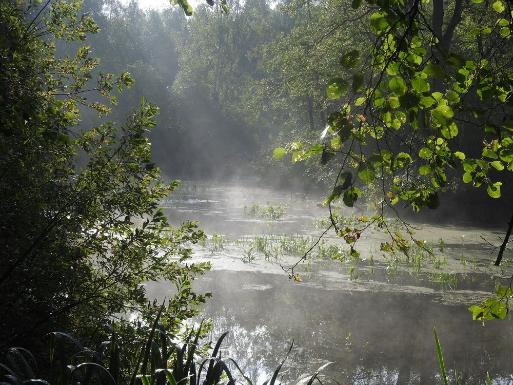 Photograph by Георгий Салюков