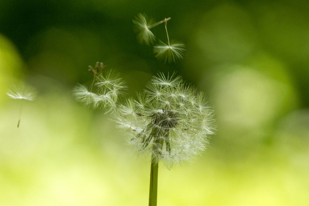 Photograph by Мария Маркина