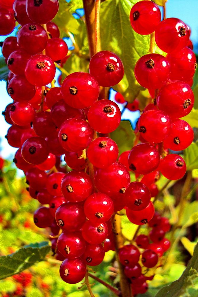 Photograph by Виталий Симоненков