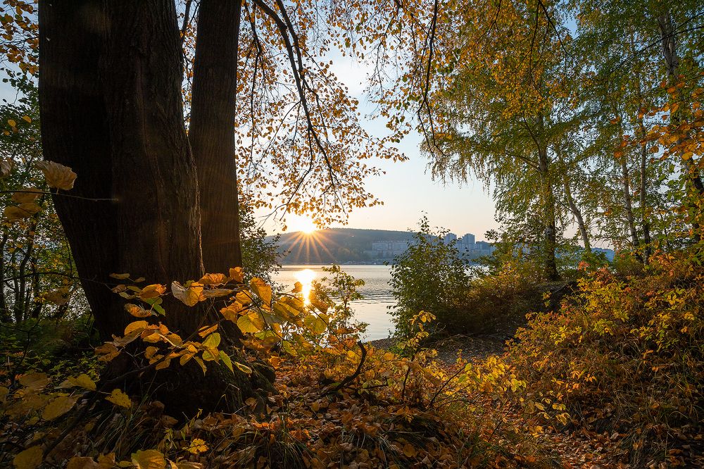 Photograph by Николай Ларионов