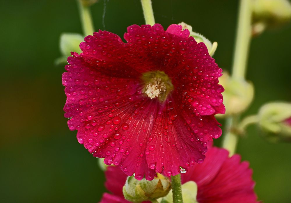 Photograph by Анатолий Максимов