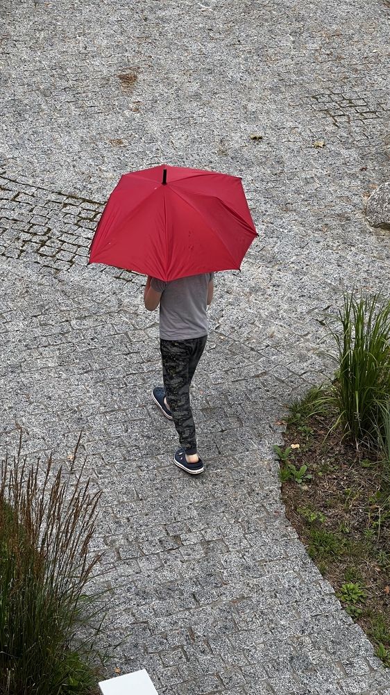 Фотография автора Наталья Васько -Черданцева