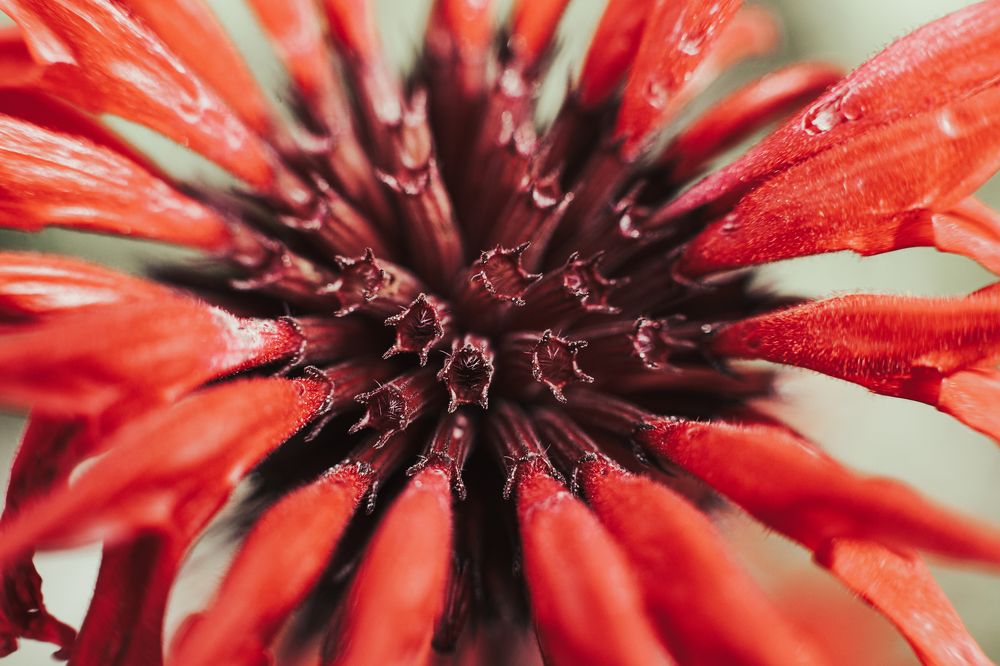 Photograph by Антон Хаткевич