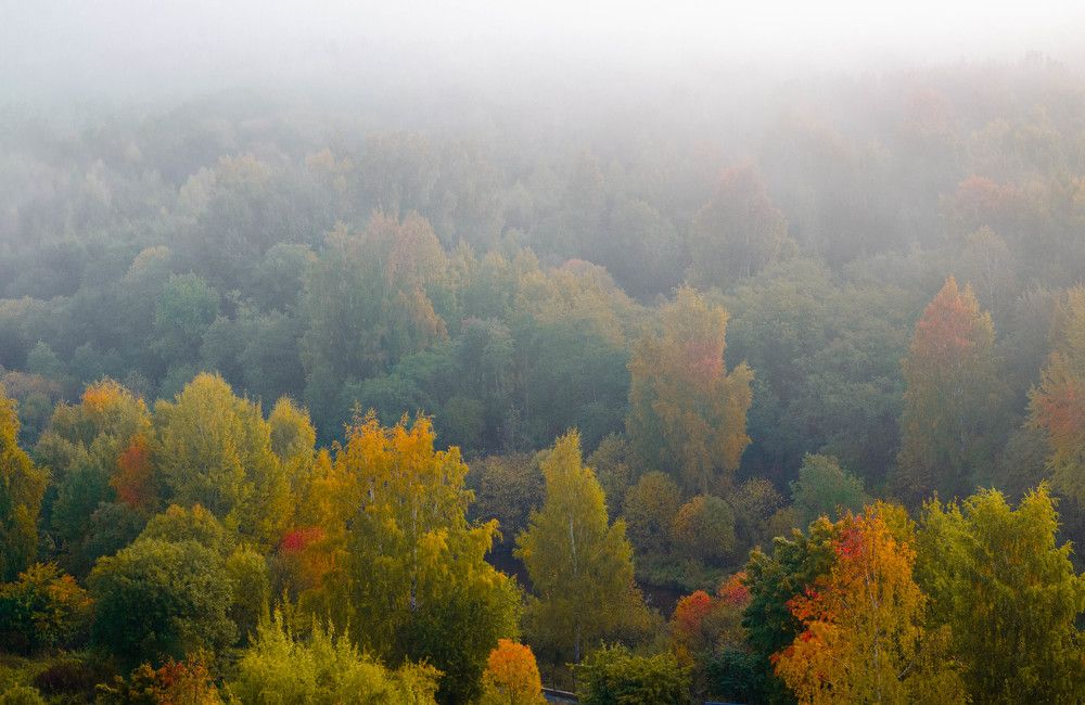 Photograph by Елена Аверина