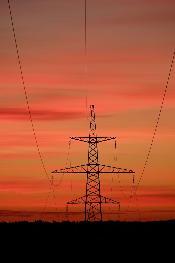 Фотография автора Александр Высоцкий