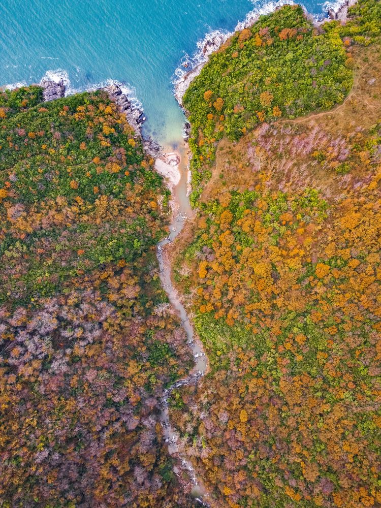 Фотография автора NECMETTİN SOBUTAY