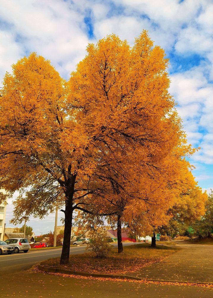 Photograph by Олеся Бронзова