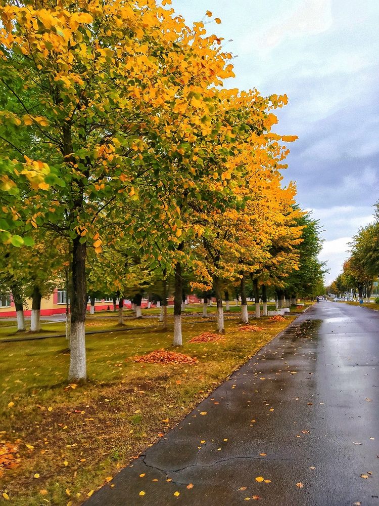 Photograph by Олеся Бронзова