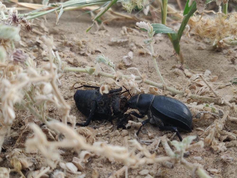 Photograph by Ranjith Kumar