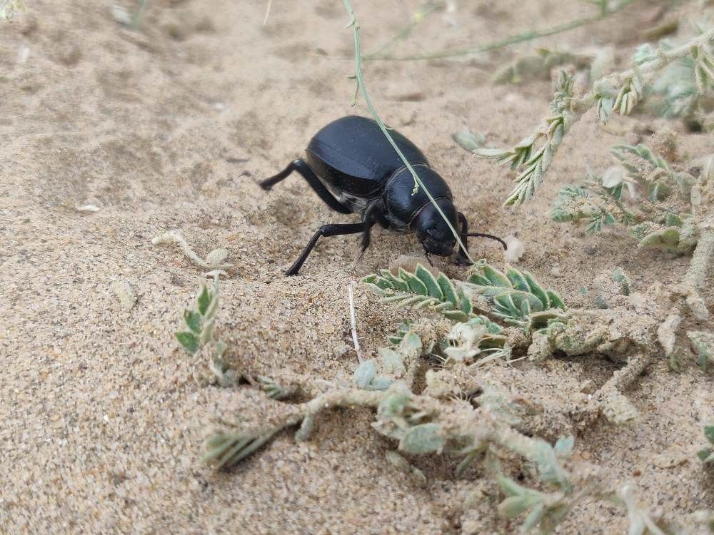 Photograph by Ranjith Kumar