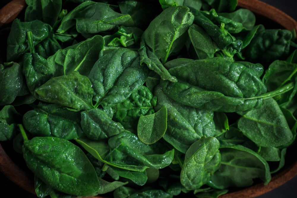 Photograph by Vasily Prokhorov