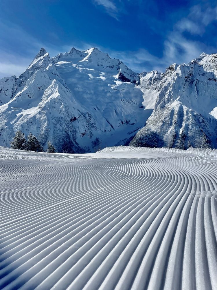Фотография автора Юлия Недосекина