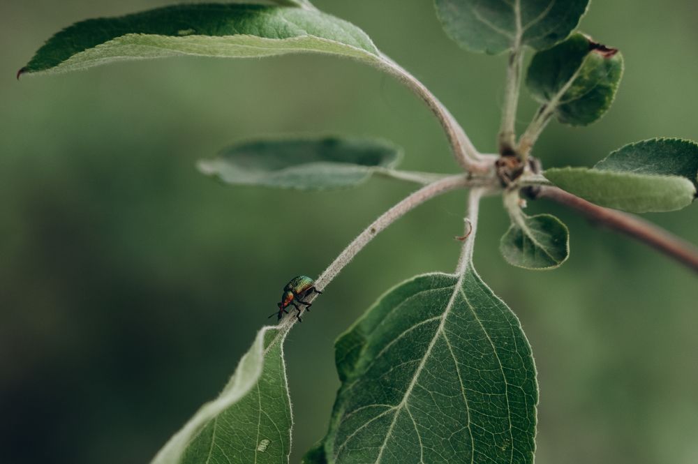 Photograph by Фёдорова Анастасия