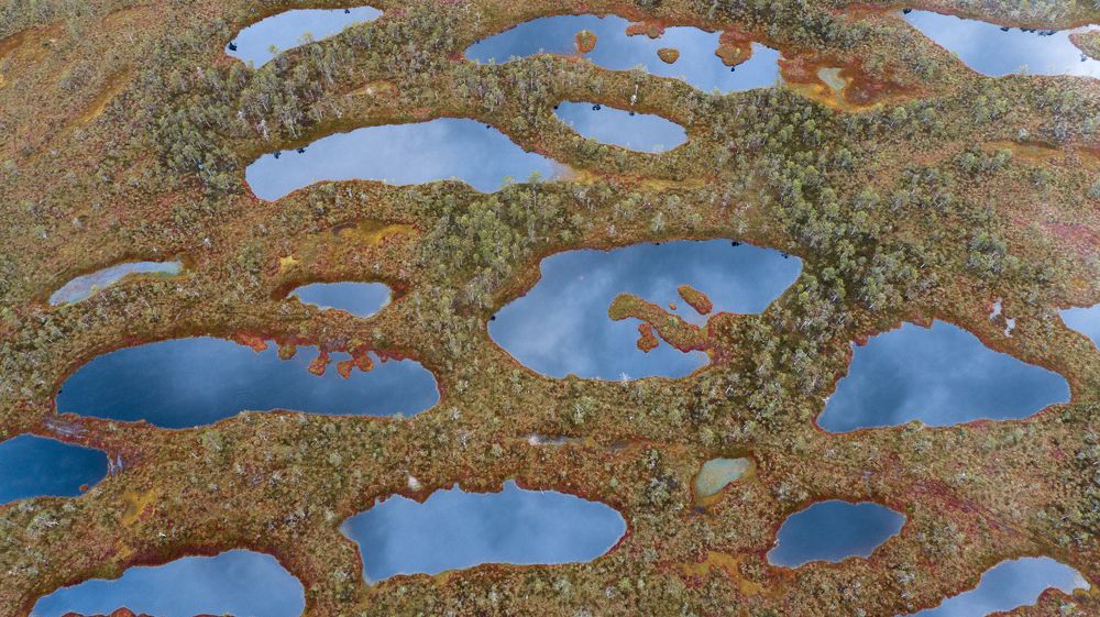 Photograph by Константин Шатилов