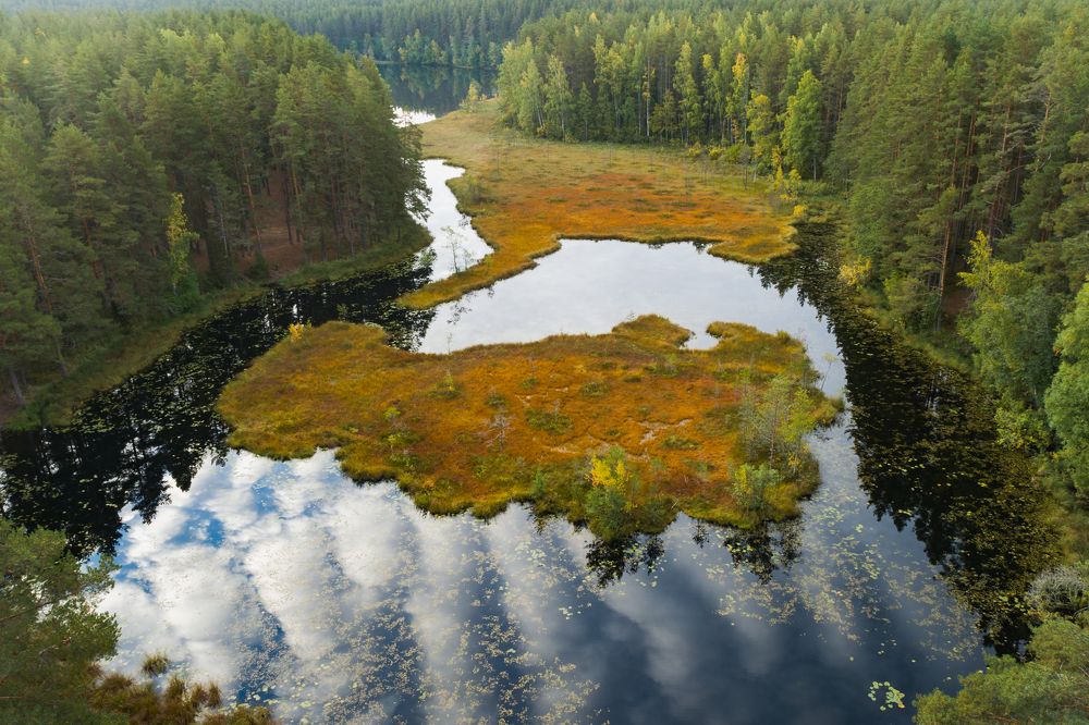 Photograph by Константин Шатилов