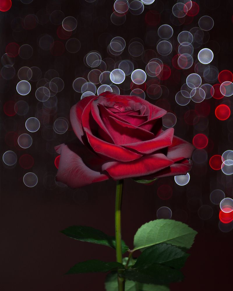 Photograph by Людмила Ефремова