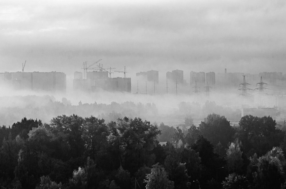 Photograph by Елена Аверина