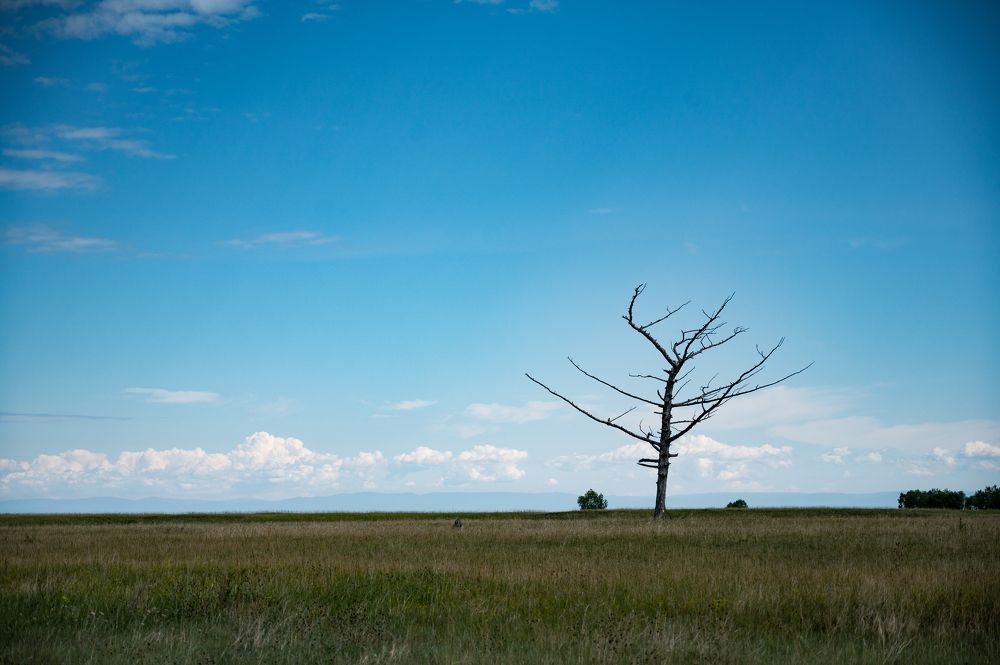 Photograph by Фёдорова Анастасия