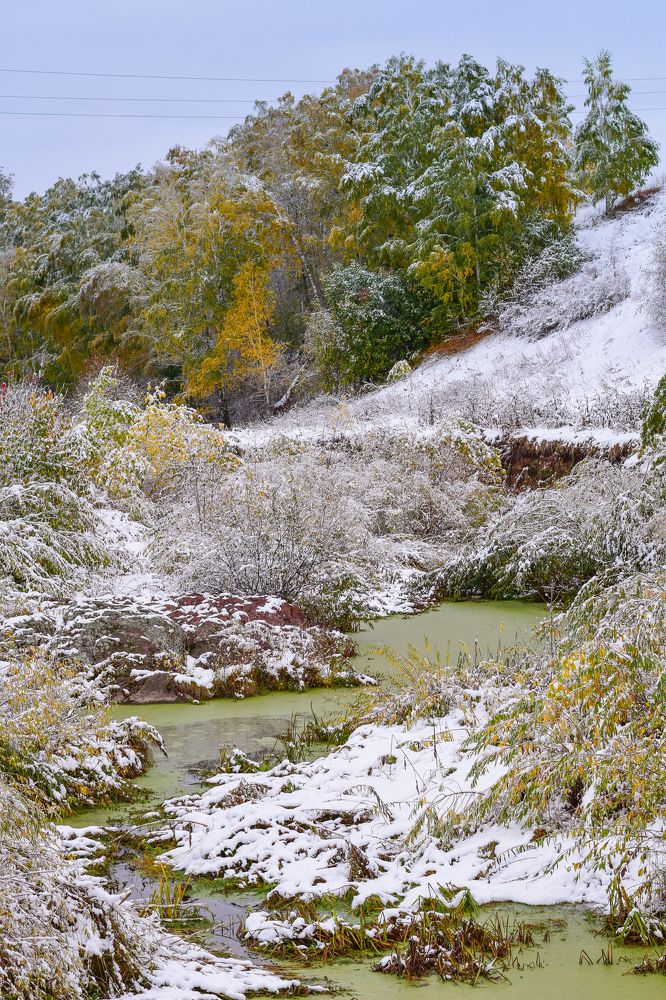 Фотография автора Светлана Бобошина