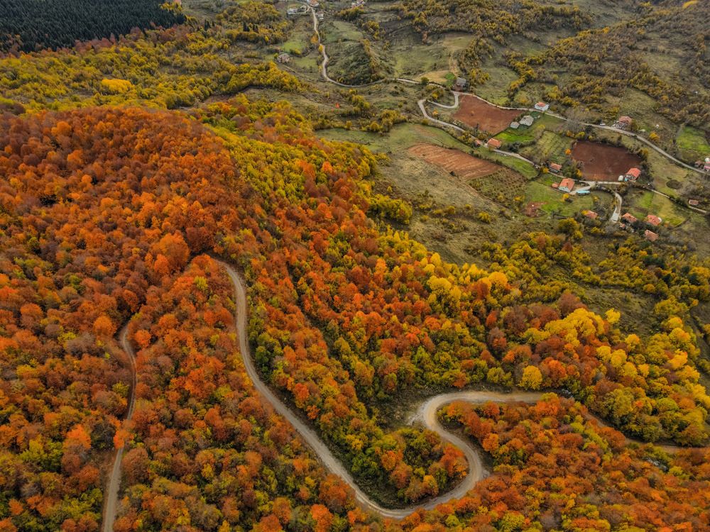 Фотография автора NECMETTİN SOBUTAY