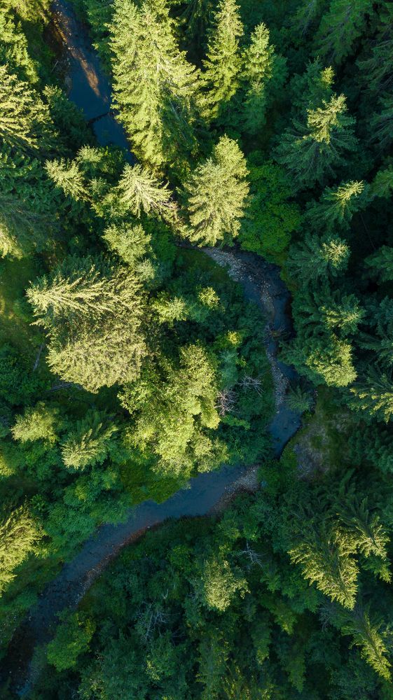 Photograph by George Alexandru Ghiuro