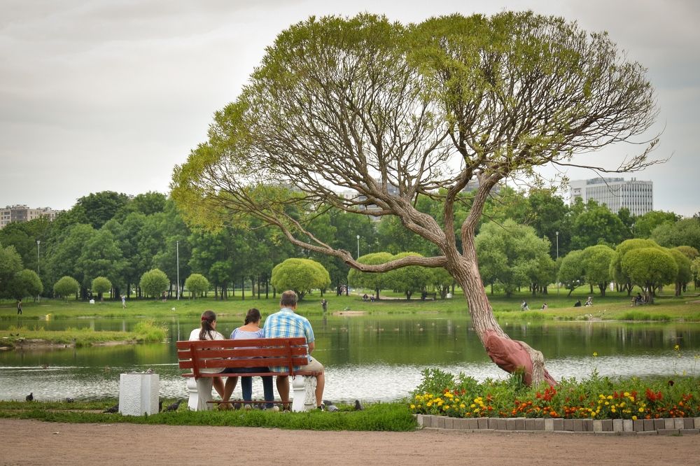 Photograph by Татьяна Сурова