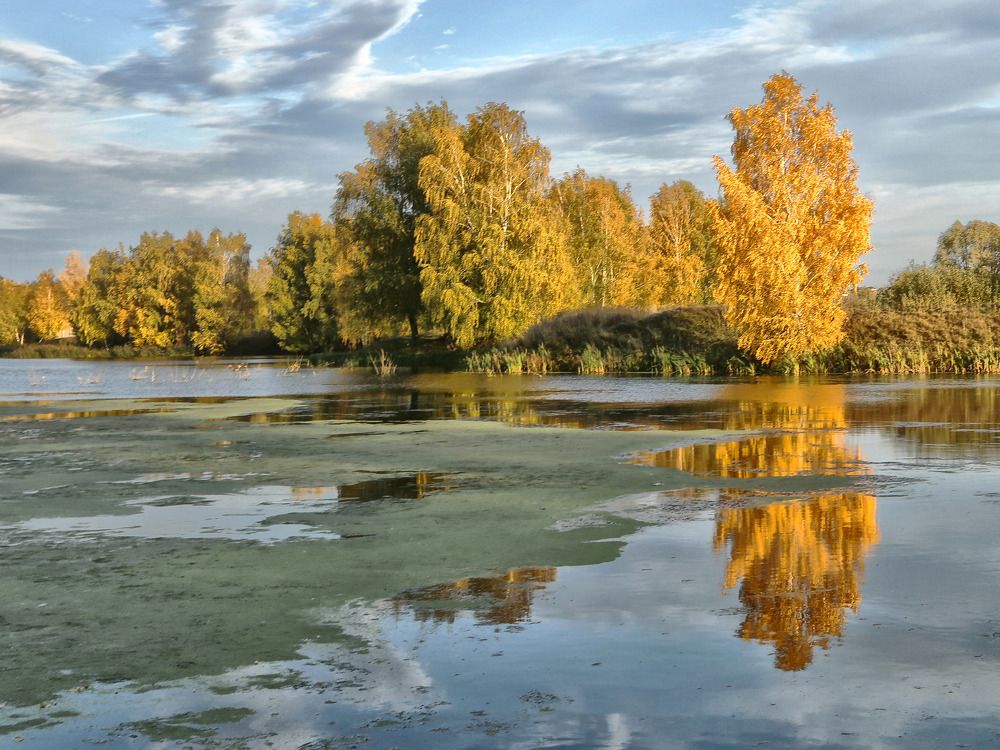 Photograph by Моложников Юрий