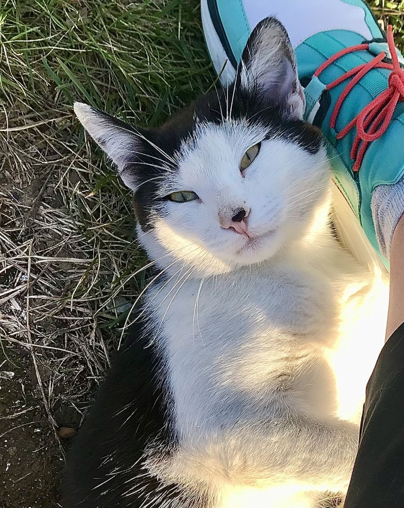 Photograph by Татьяна