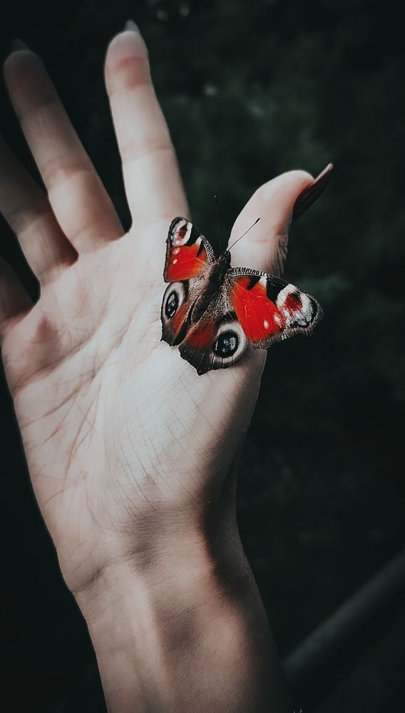 Photograph by Катерина Магало
