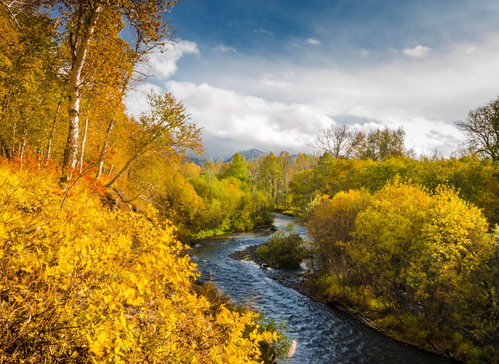 Photograph by Евгений Житников