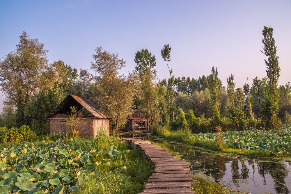 Photograph by Ranjith Kumar