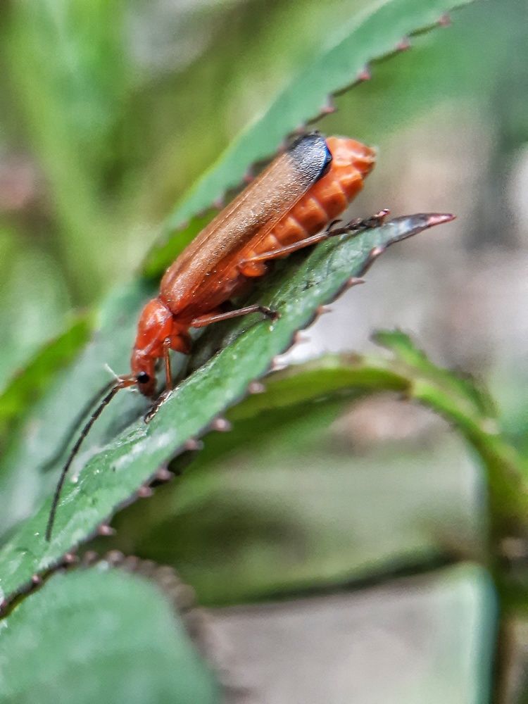 Photograph by Татьяна Григорчук