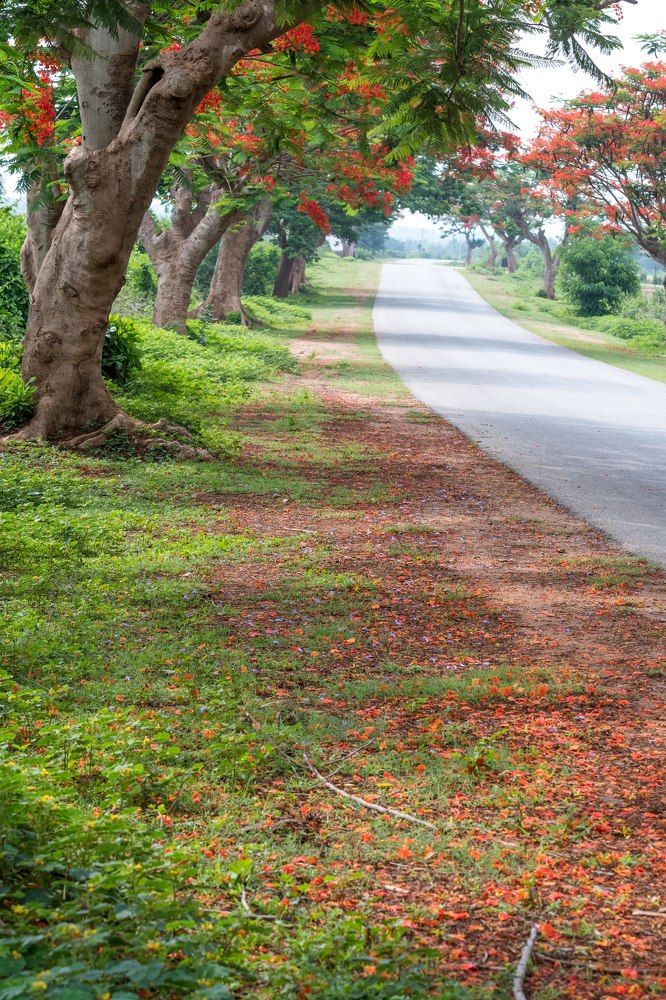 Photograph by Ranjith Kumar