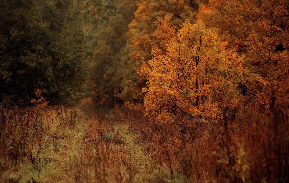 Photograph by Ольга Гаврилова