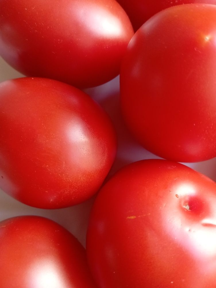 Photograph by Svetlana