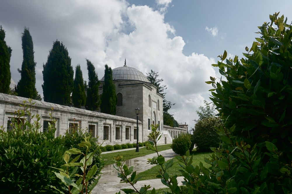 Photograph by Viktoria Vavilkina