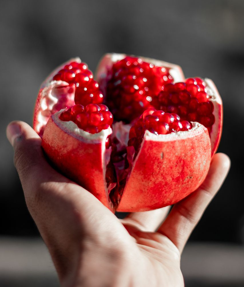 Photograph by Mohammad Hossein Mirzagol