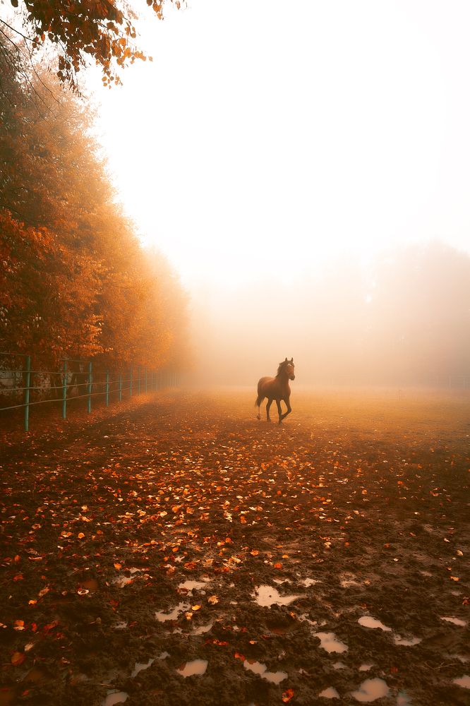 Photograph by Ангелина Старцева