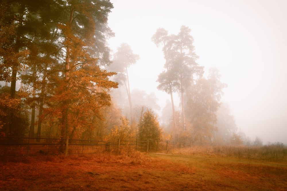 Photograph by Ангелина Старцева