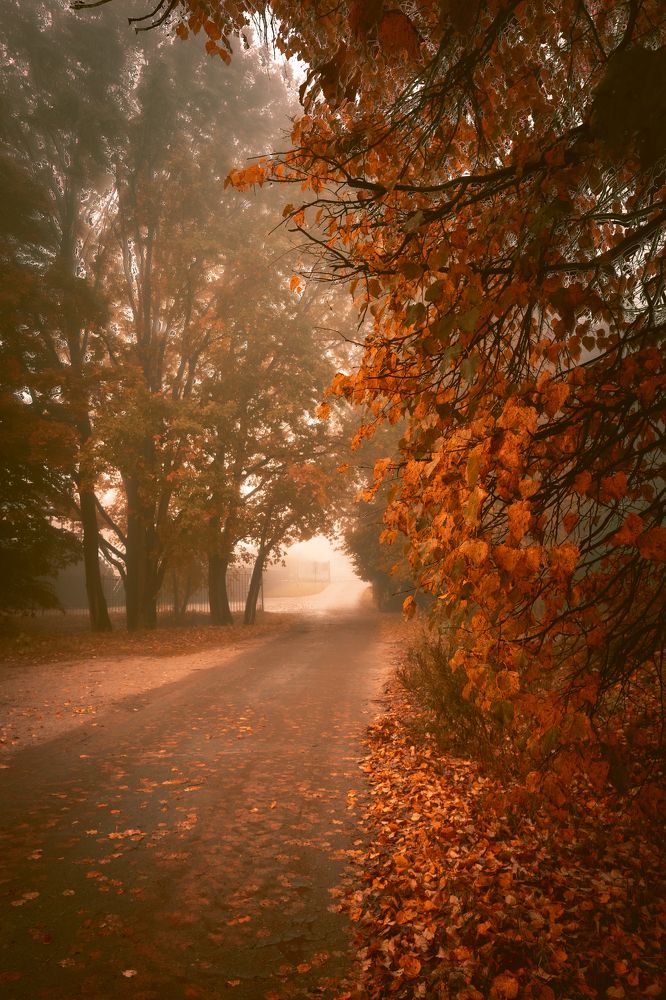 Photograph by Ангелина Старцева