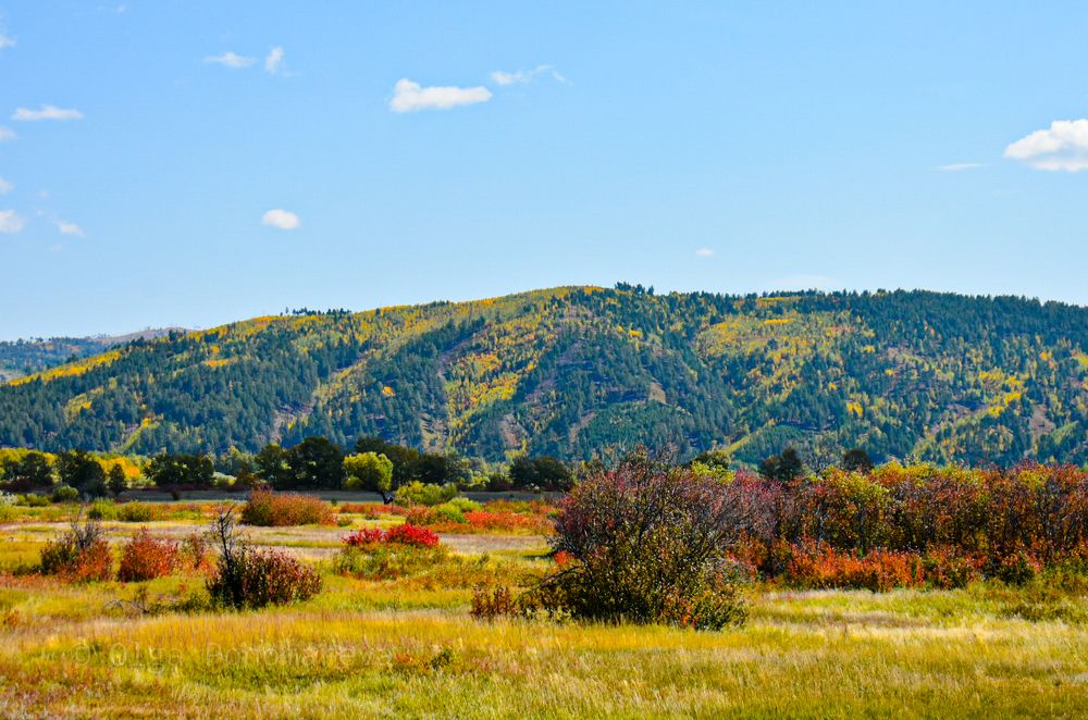 Photograph by Ольга Пономарева