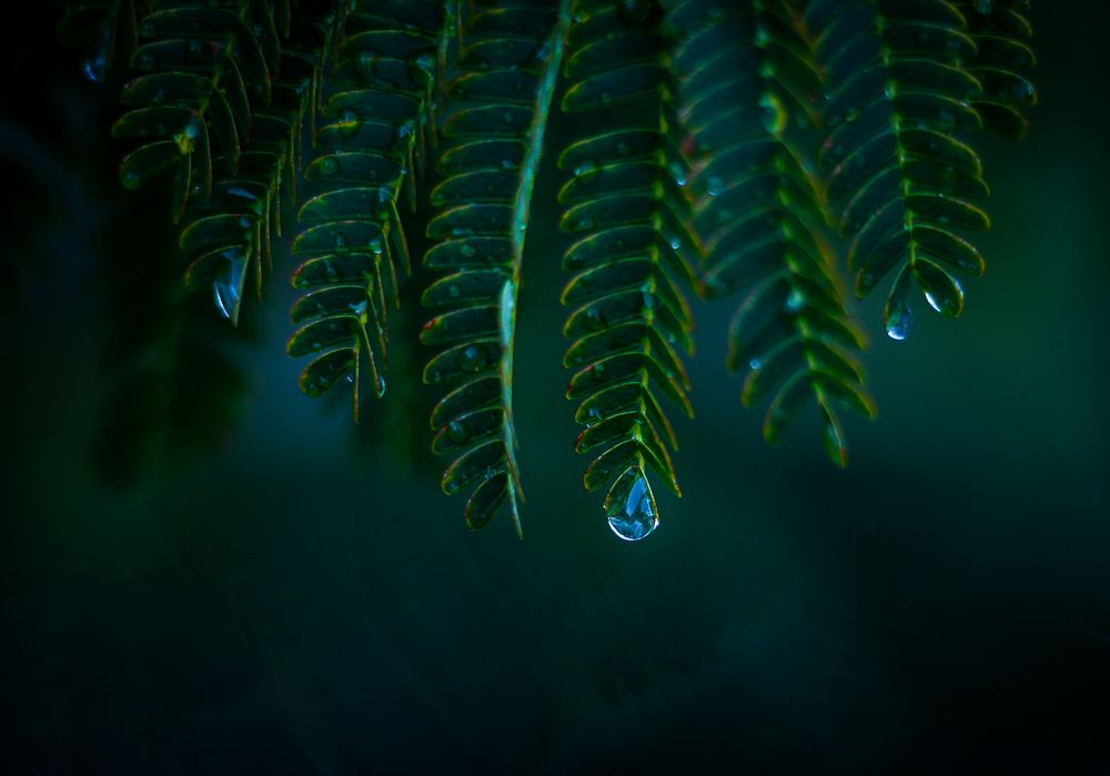 Photograph by Alexandra Sergeeva