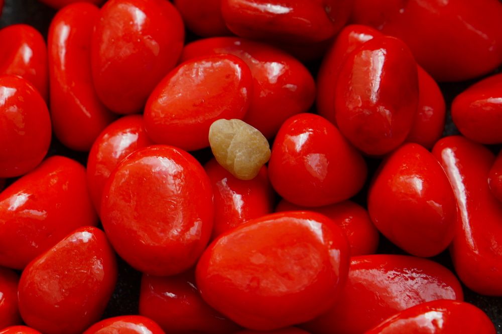 Photograph by Viktoria Vavilkina