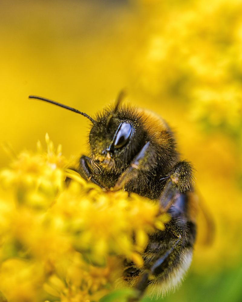 Photograph by Александр Соловьев