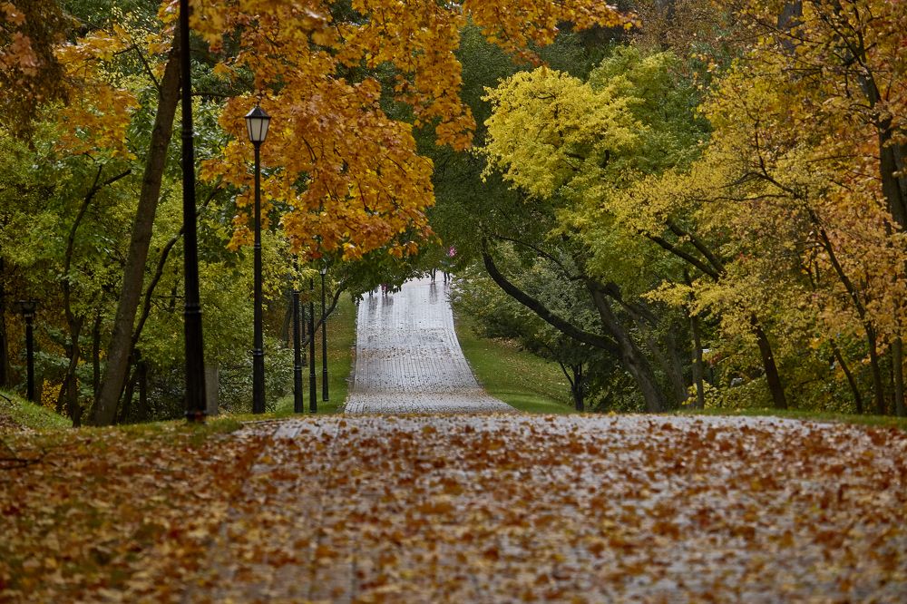 Осень в городском парке